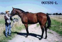 �尭 (JANG GANG) ����