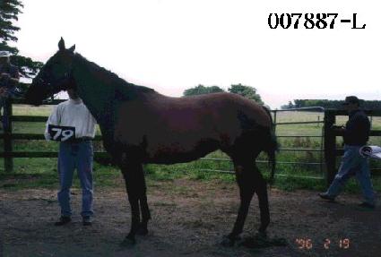 �����Ӹ����� ����