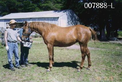 �츮�� ����