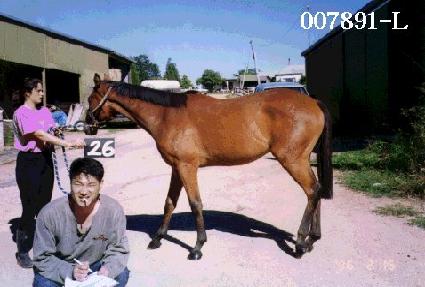 Ư�޵�ǳ ����