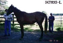 ŷ����Ʈ (KING BEST) ����