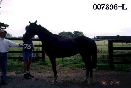 �ʿ��� ����