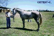 ��帲 (BIG DREAM) ����