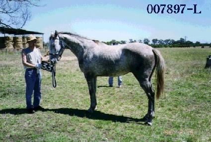 ��帲 ����