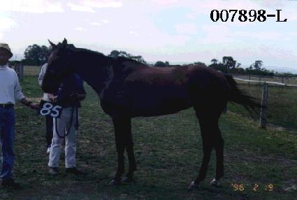 ȭä�� ����