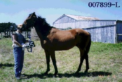 õ���� ����