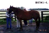 �극�̺����� (BRAVE HUNTER) ����