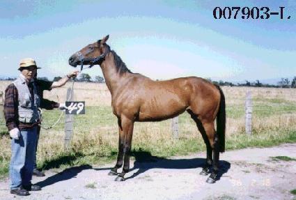 û�� ����