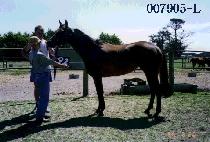 ���� (YEONHAP) ����