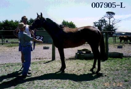 ���� ����