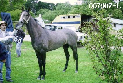 ����ǳ ����