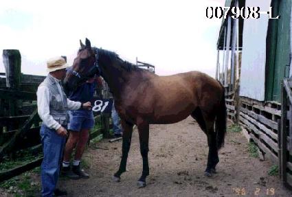 ��ϻ� ����