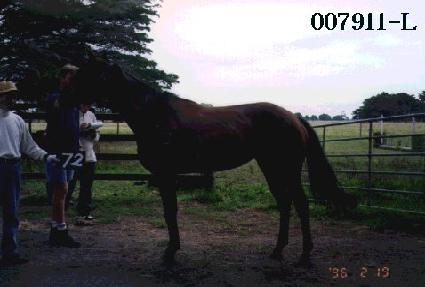 ���ѵ��� ����