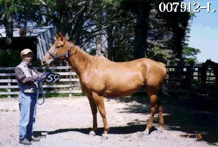 �ָ���Ʈ ����