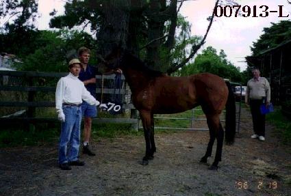 ���� ����