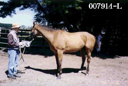 �������� ����