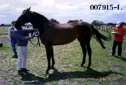 ȿ�� ����