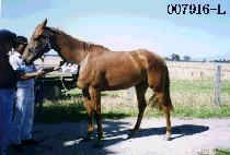 �뵿�� (DAEDONGWOON) ����