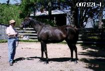 �뿵�� (DAEYEONGGWANG) ����