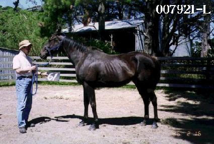 �뿵�� ����