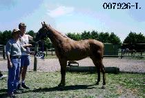 ����� (YONGSUAM) ����