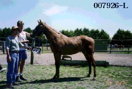 ����� ����