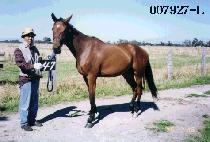 Ÿ���ͳ� (TIME TUNNEL) ����