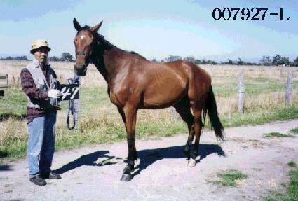 Ÿ���ͳ� ����