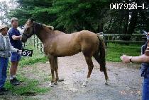 ��â (MYEONGCHANG) ����