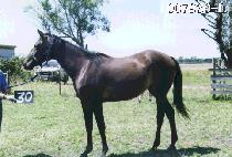 �и��� (MILIM WANG) ����