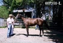 ���念�� (WORLD YEONGWOONG) ����