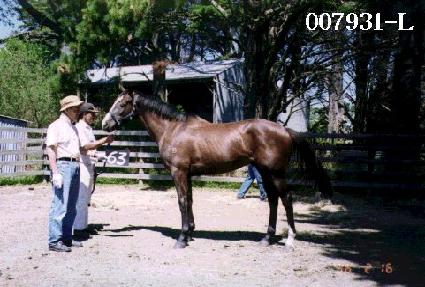 ���念�� ����