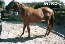 ��Ȱ�� (DAEHWARYAK) ����