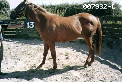 ��Ȱ�� ����