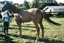 ����Ʈ (SPURT) ����