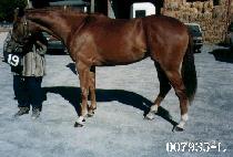 �ý��ǵ� (ALL SPEED) ����