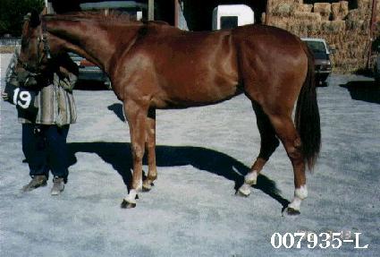 �ý��ǵ� ����