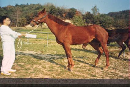 û�� ����