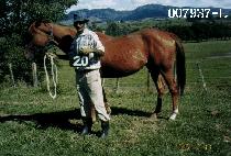 �츮�ô� (WURISIDAE) ����