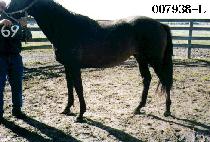 ���̽� (BIG RACE) ����