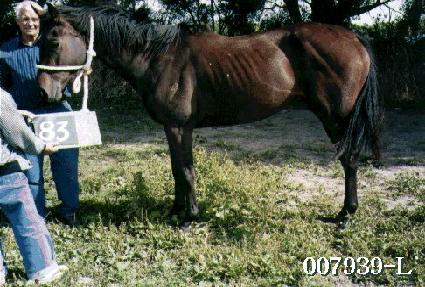 Ȧ��ġ ����