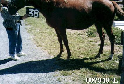 �ʼӷ� ����