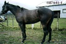 ��� (DAEGYEOL) ����