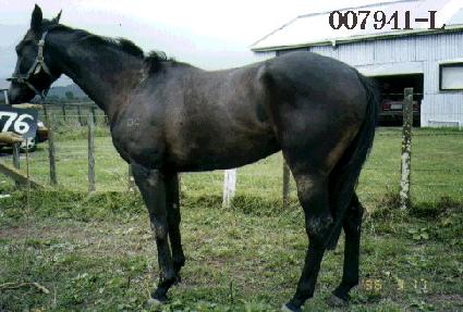 ��� ����