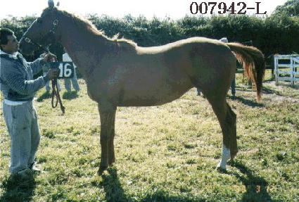 ����ī�ٳ� ����