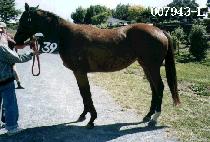 �̸����� (MIREUKSAJI) ����