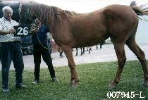 ���ջ� (GOWANGSAN) ����