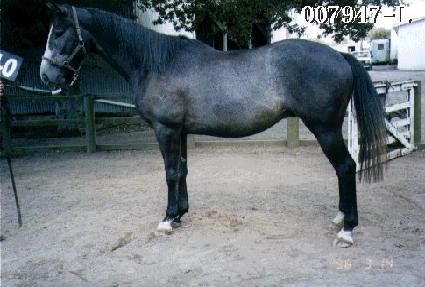 ��θӸ� ����