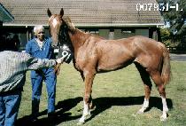 ������ (DOKJAEJA) ����