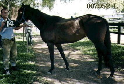 ��õ�� ����